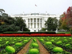 Totally non-offensive picture showing the White House lawn prepped for the annual Easter watermelon hunt which, according to Los Alamitos Mayor Dean Grose, will replace the more traditional Easter egg hunt. Mayor Grose claims he was unfamiliar with the racial stereotype that Black people love watermelon.